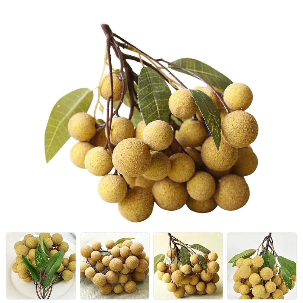  ¥  ǰ â  , ΰ öƽ ùķ̼ , ̽ Longan